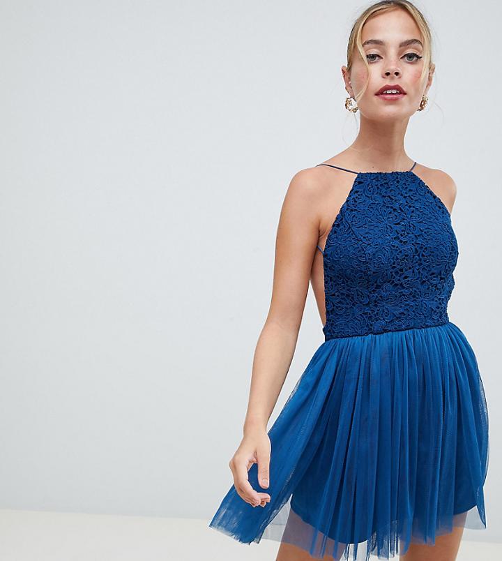 Asos Design Petite Lace Top Tulle Mini Dress - Navy