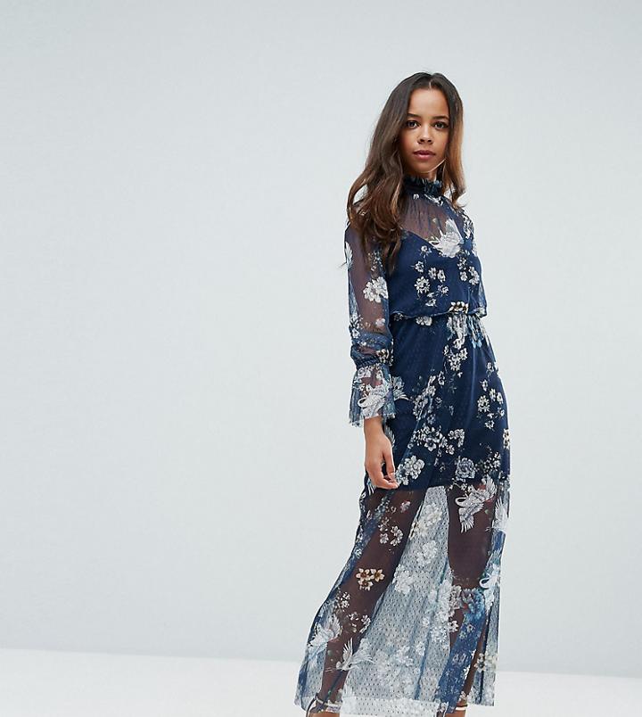 Asos Petite Printed Mesh Maxi Dress With Shirred Neck - Multi