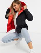 French Connection Padded Jacket In Black