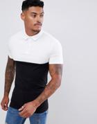 Asos Design Muscle Fit Polo Shirt With Contrast Yoke In Black
