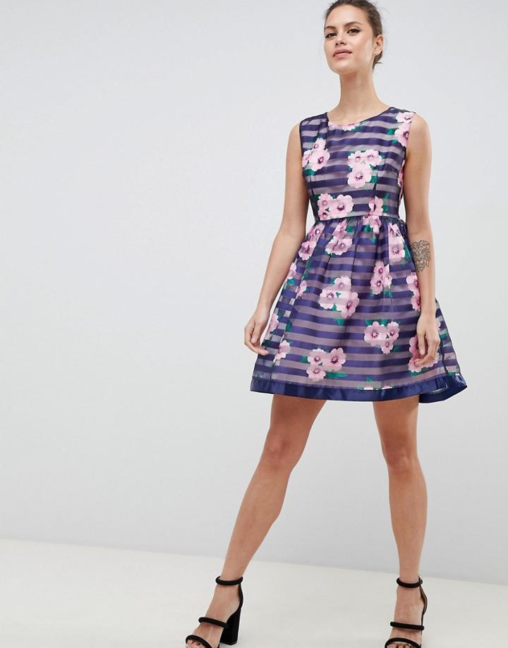 Zibi London Floral & Striped Skater Dress - Navy