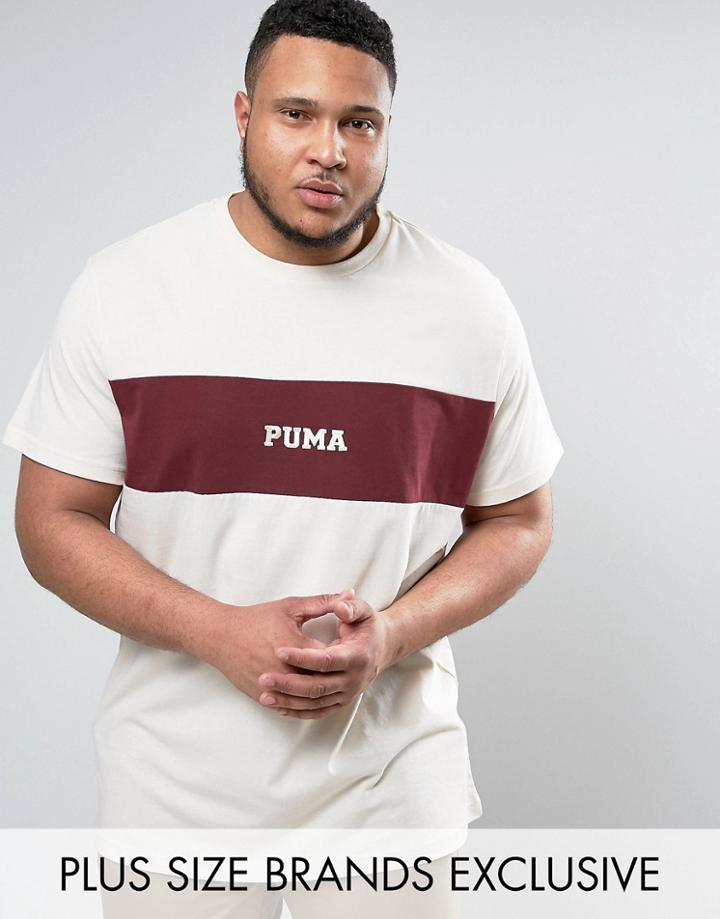 Puma Plus Panel T-shirt In Burgundy Exclusive To Asos 57531101 - Red