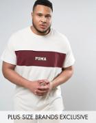 Puma Plus Panel T-shirt In Burgundy Exclusive To Asos 57531101 - Red