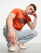 The North Face Half Dome T-shirt In Rust-orange