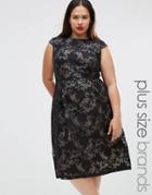 Lovedrobe Plus Dress In Lace Print - Black