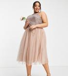 Maya Plus Bridesmaid Halter Neck Midi Tulle Dress With Sequins In Muted Blush-neutral