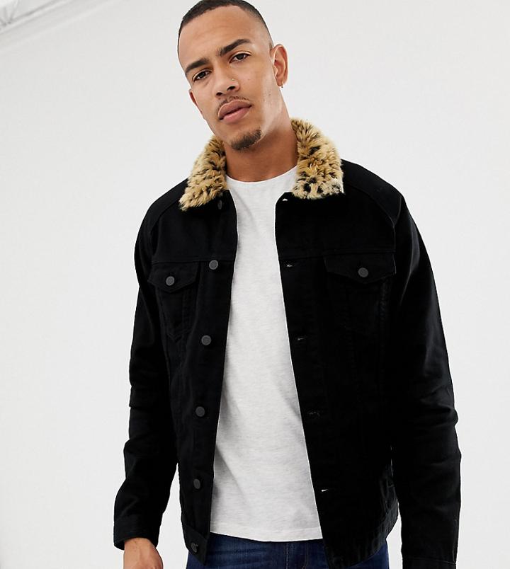Asos Design Tall Denim Jacket With Leopard Print Faux Fur Collar-black