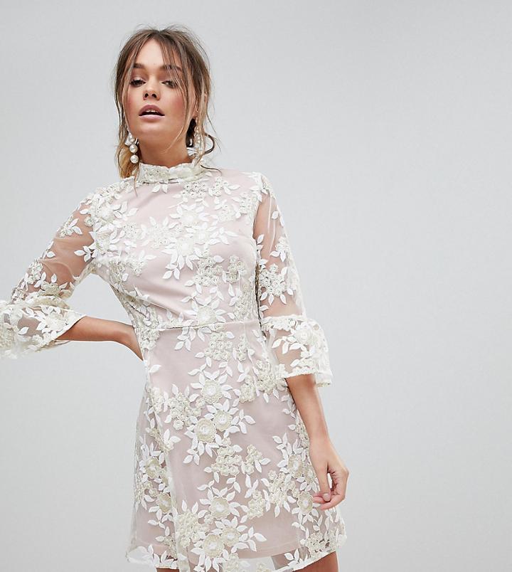 Dolly & Delicious Allover Embroidered High Neck Skater Dress With Fluted Hem Detail - Cream