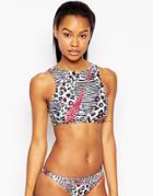 South Beach Roar Print Crop Bikini Top - Leopard Multi