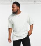 Soul Star Plus Oversized T-shirt In Sea Foam Green