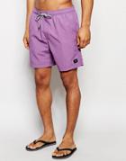 Globe Dana 16.5 Inch Swim Shorts - Purple