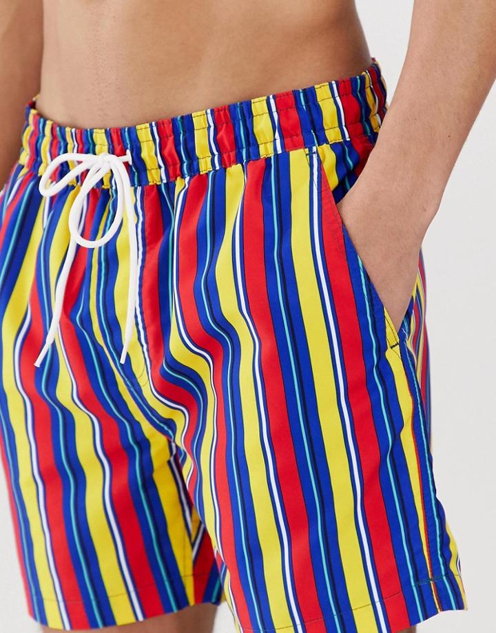 Threadbare Stripe Swim Short - Multi