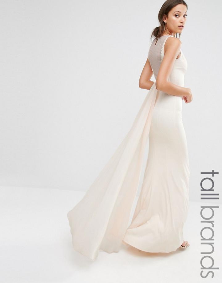 Little Mistress Tall Open Back Pleated Train Maxi Dress - Pink
