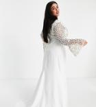 Virgos Lounge Curve Bridal Long Sleeve Lace Dress In White