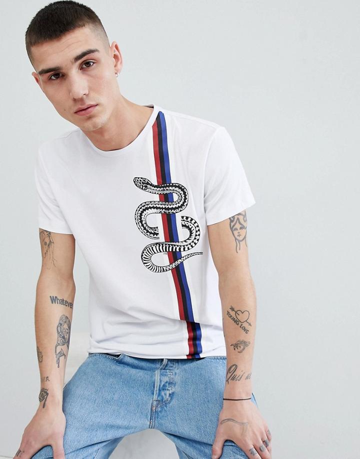 Cavalli Class T-shirt In White With Snake Print - White