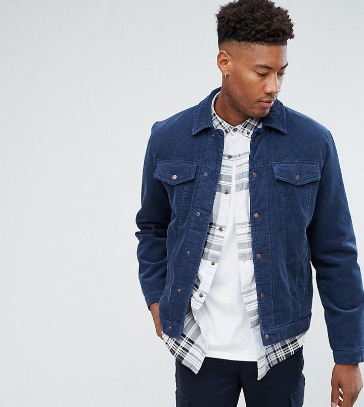 Asos Tall Padded Cord Jacket In Blue - Blue