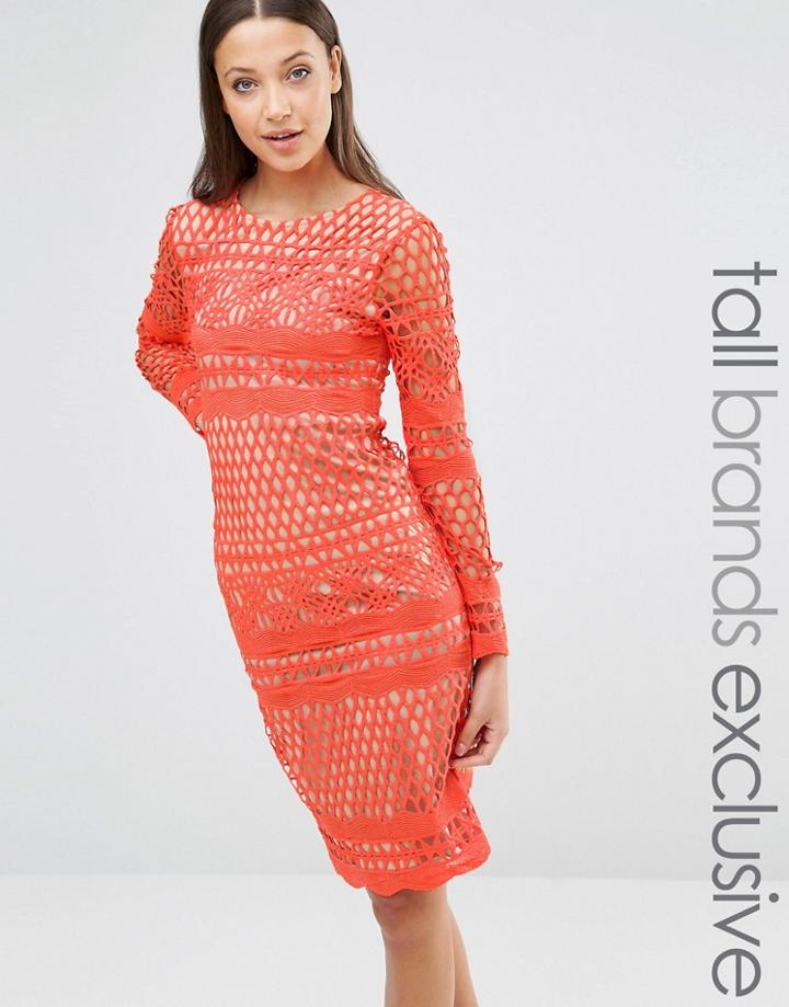 True Decadence Tall Long Sleeve All Over Graphic Lace Midi Dress