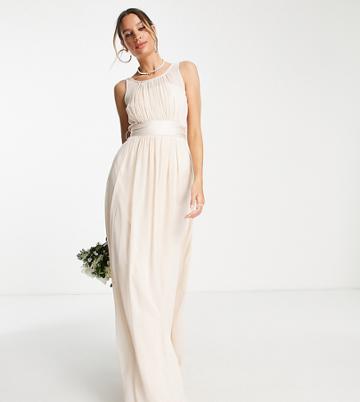 Little Mistress Tall Bridesmaid Chiffon Maxi Dress In Blush-pink