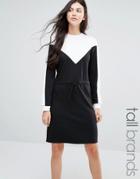 Daisy Street Tall Color Block Sweat Dress - Black