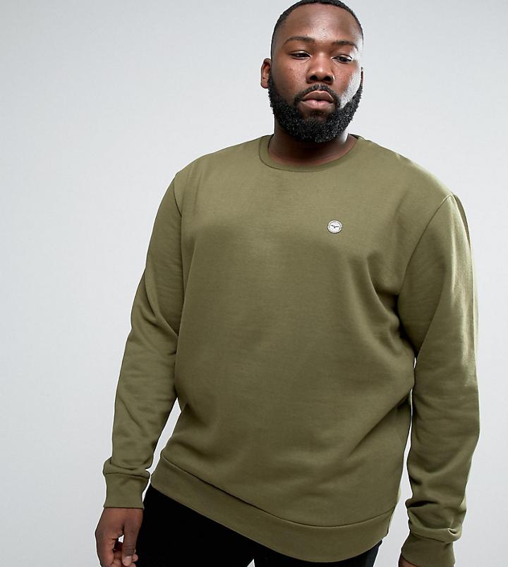 Le Breve Plus Crew Neck Sweat - Green