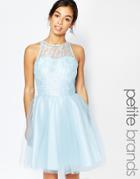 John Zack Petite Lace Bodice Tulle Skirt Prom Dress - Blue