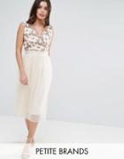 Little Mistress Petite Tulle Midi Dress With Embroidered Bodice - Beige