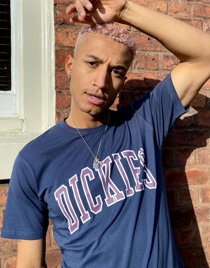 Dickies Aitkin Logo T-shirt In Blue-navy