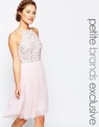 Maya Petite Sequin Bodice Tulle Midi Prom Dress - Blush