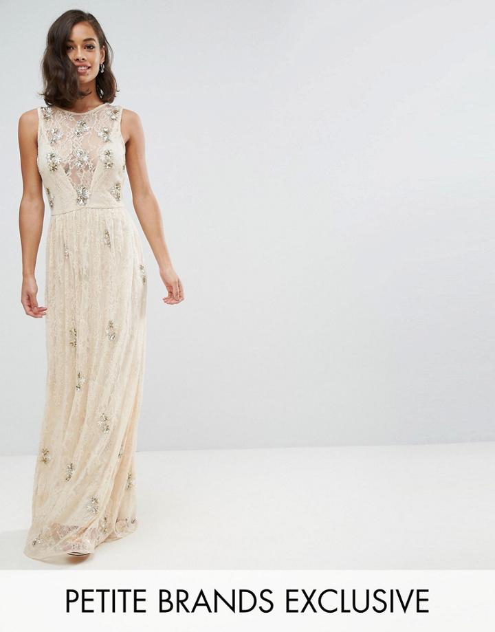 Maya Petite All Over Embellished Lace Maxi Dress - Pink
