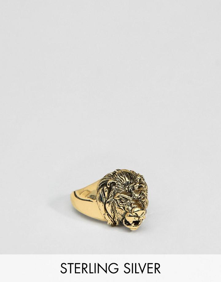 Asos Design Sterling Silver Lion Head Ring With Burnished Gold Plating - Gold