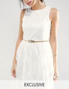 True Decadence Metal Leaf Occasion Belt In Gold - Gold