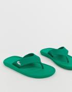 Lacoste Croco Flip Flops In Green