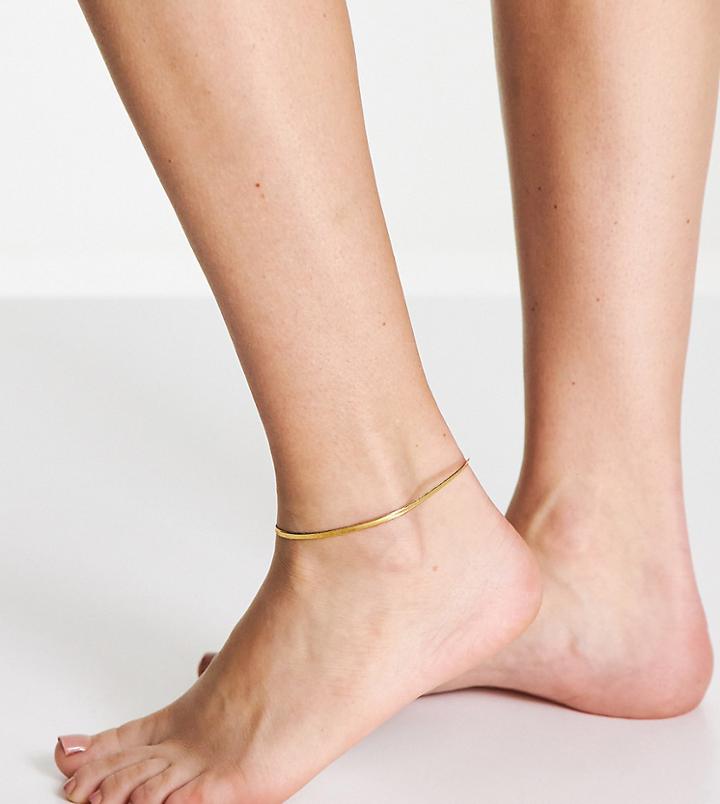Asos Design 14k Gold Plated Anklet In Snake Chain