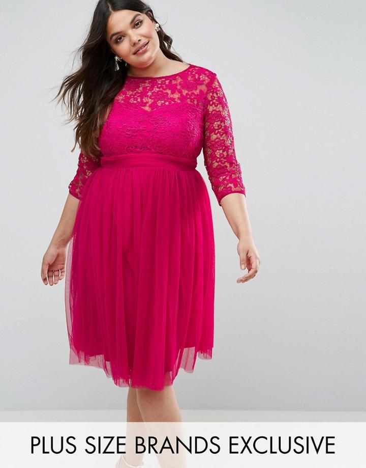 Little Mistress Plus Lace Bodice Mini Dress With Tulle Skirt - Pink