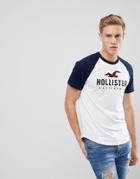 Hollister Raglan Baseball Logo Print T-shirt In White/navy - White