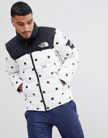 The North Face International Limited Capsule Nuptse Down Jacket In Gray Dot Print - Gray
