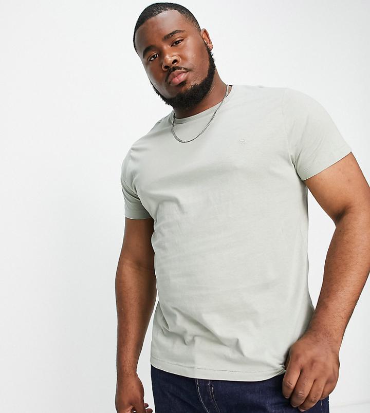 French Connection Plus Crew Neck T-shirt In Sage-green