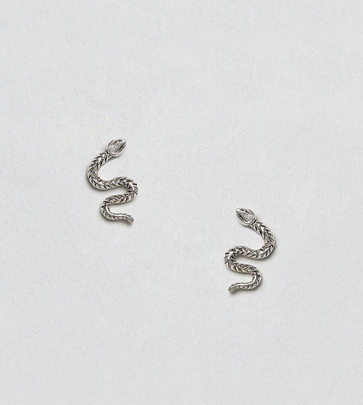 Kingsley Ryan Sterling Silver Snake Stud Earrings - Silver