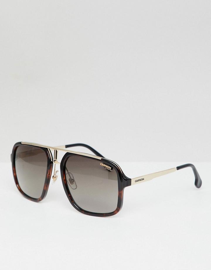 Carrera Aviator Sunglasses In Tort - Brown