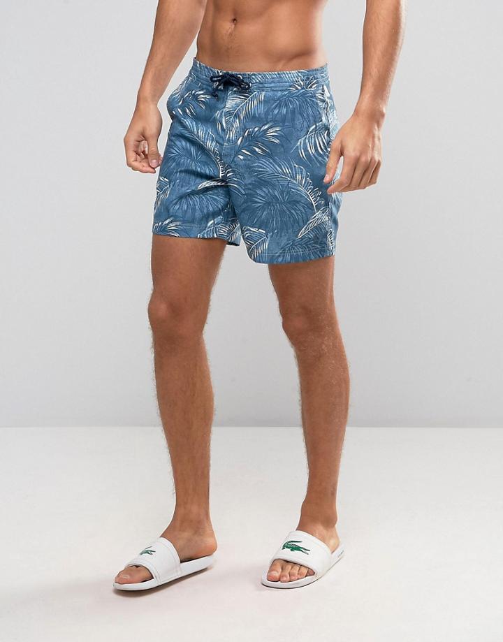 Original Penguin Swim Shorts Fern Print In Blue - Blue