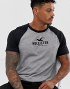 Hollister Iconic Tech Logo Raglan Baseball T-shirt In Gray