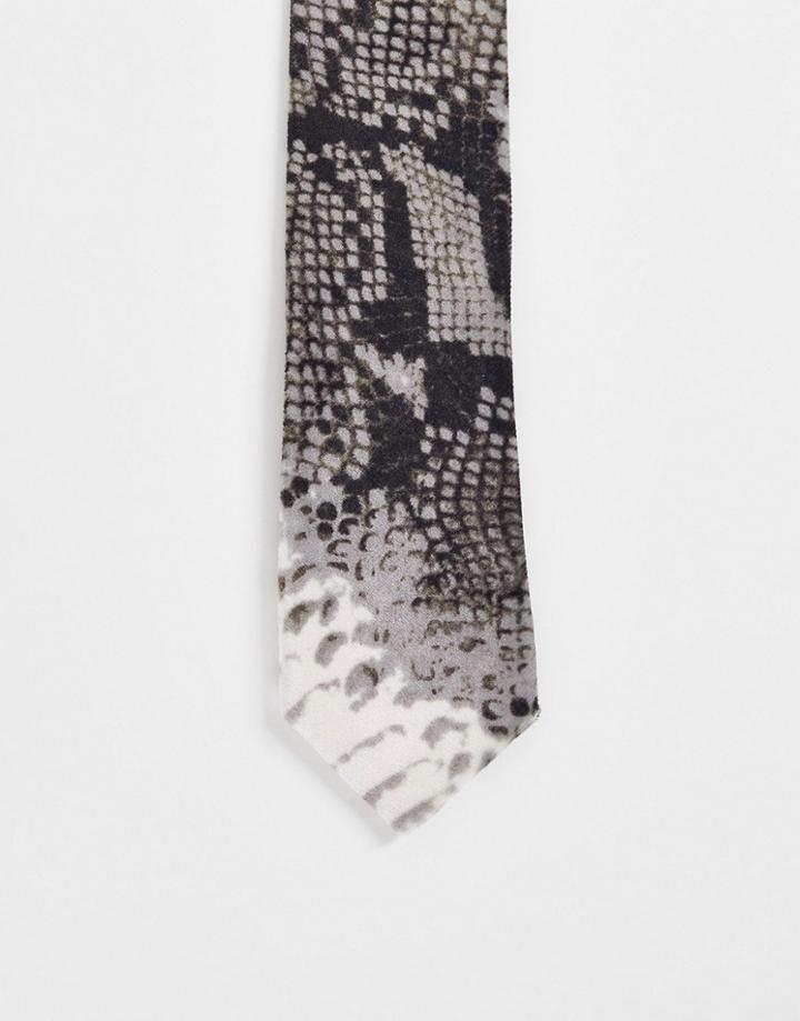 Twisted Tailor Tie In Multi With Snakeskin Design