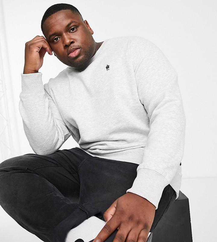 French Connection Plus Crew Neck Sweatshirt In Light Gray