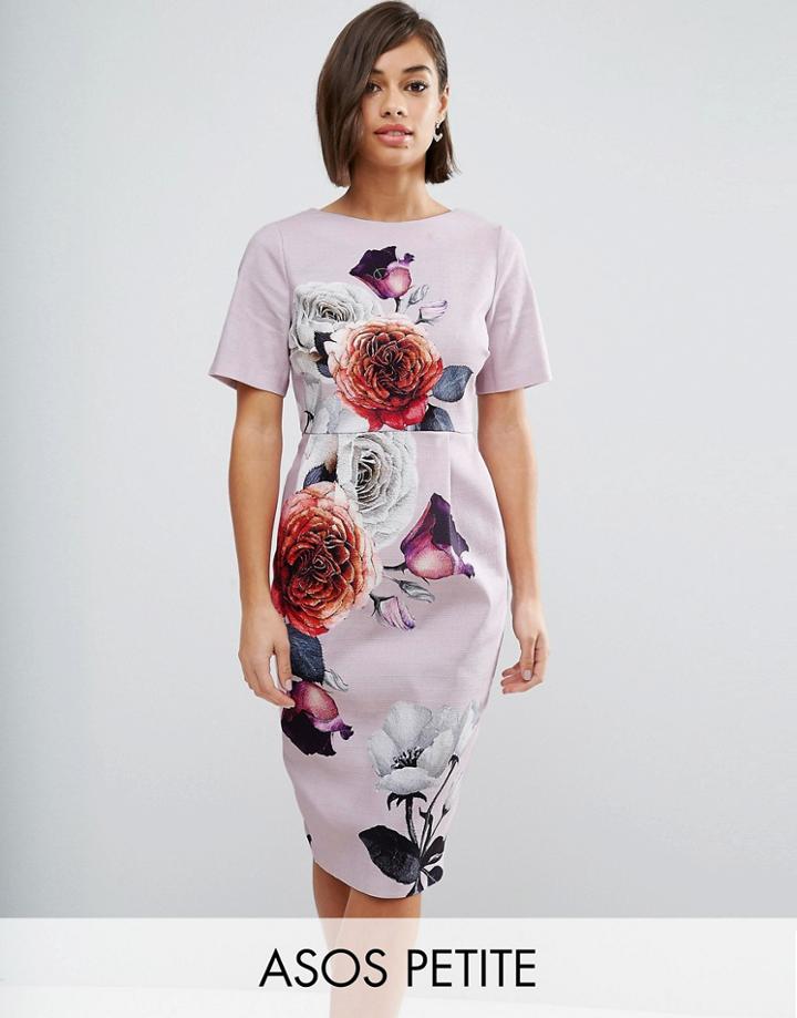 Asos Petite Wiggle Dress In Rose Placement Floral - Multi