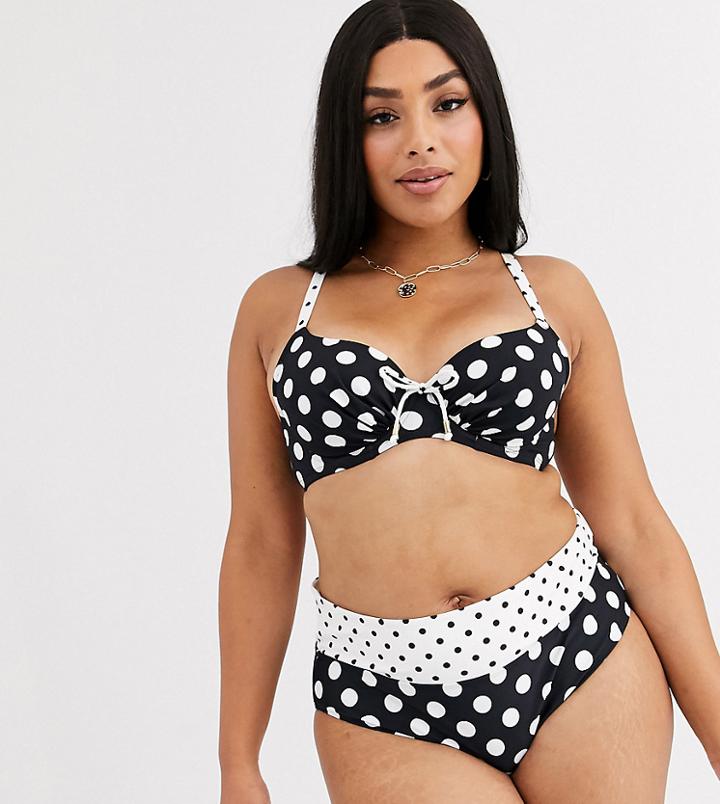 Dorina Curve Padded Bikini Top In Polka Dot-black