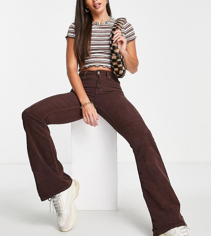 Topshop Tall Jamie Corduroy Jeans In Chocolate-brown