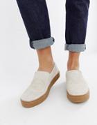 Toms Suede Trainer In Stone-neutral