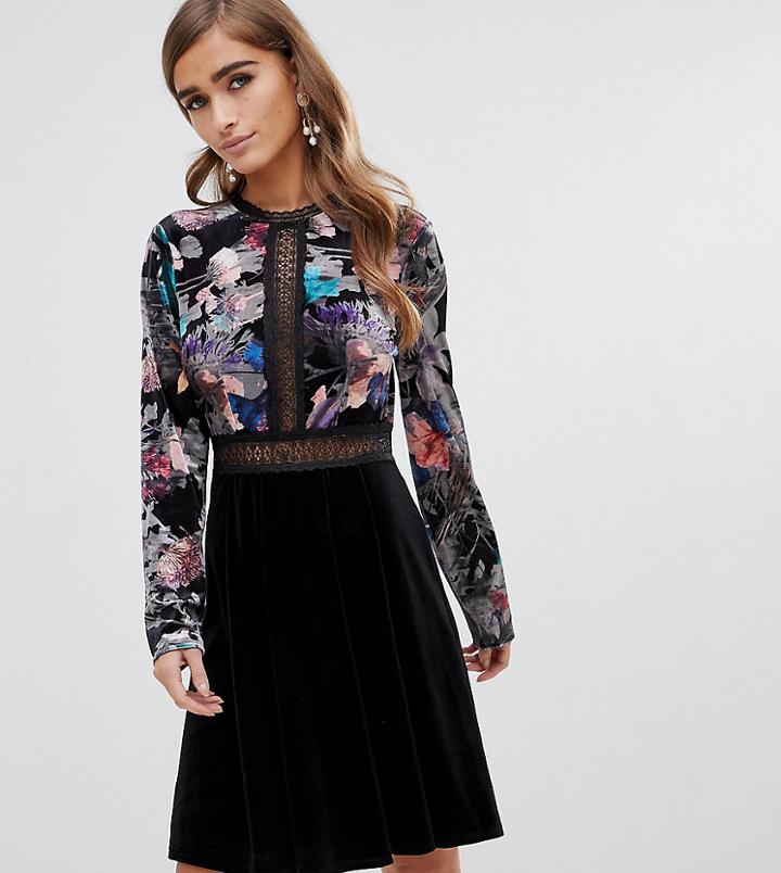 Little Mistress Petite Printed Contrast Velvet Prom Skater Dress In Black Multi