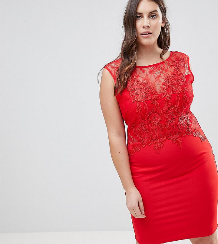 Lipsy Curve Lace Applique Bodycon Dress-red