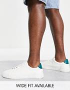 Asos Design Sneakers In White With Green Back Tab